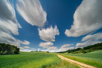 Sticker - panorama of a green summer field on a sunny day and clouds on blue sky