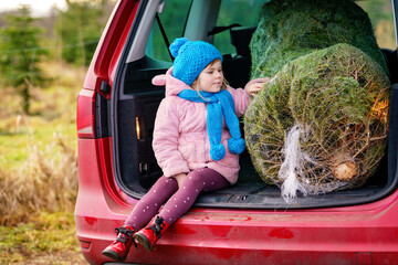 Adorable little preschool girl with Christmas tree inside of family car. Happy healthy child in winter fashion clothes choosing and buying big Xmas tree for traditional celebration.