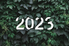 2023 New Year White Text Hidden In Natural Green Leaves Wall