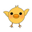 chick illustration