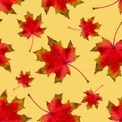 Canvas Print - Autumn leaf. Seamless pattern of autumn red maple leaves on a yellow background. Pattern of autumn.