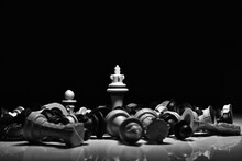Chess Knight In The Night