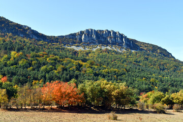 Poster - Autumn image of Mount Valdelamediana in the Cordillera de Arcena. Burgos. Spain