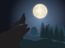 Wolf Howling At Full Moon Night Design Vector Illustration