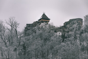 Leinwandbilder - Castle In Nevitsyke