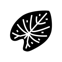 Caladium Tropical Leaf Glyph Icon Vector. Caladium Tropical Leaf Sign. Isolated Symbol Illustration
