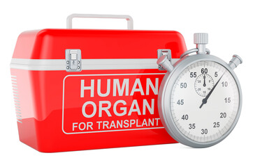 Portable fridge for transporting donor organs with stopwatch. 3D rendering