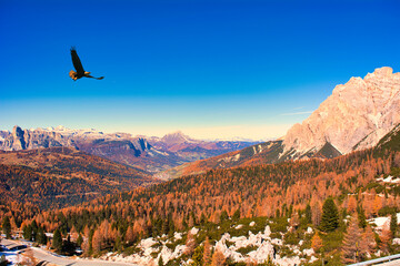 Leinwandbilder - The Beautiful Autumn Scenery Of The Dolomites Rejion