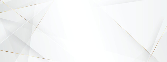White Abstract background. Premium design. Luxury template design. space for product creative.