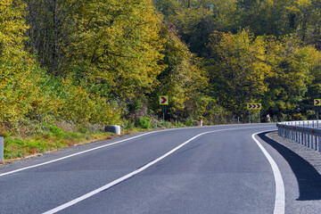 Wall Mural - Road through colorful forest