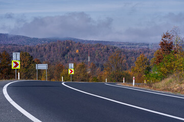 Wall Mural - Road through colorful forest