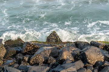 Wall Mural - Waves of the sea hitting the stones of a rocky beach covered in sea weeds in the coastal town of Pondicherry.