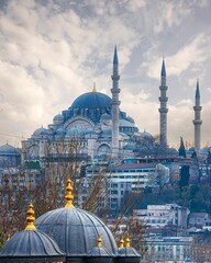 Canvas Print - Vertical shot of the Suleymaniye Mosque in Istanbul, Turkey