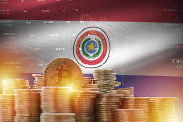 Paraguay flag and big amount of golden bitcoin coins and trading platform chart. Crypto currency