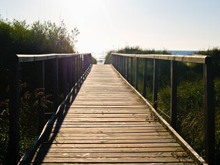 Wall Mural - Wooden walkway through dunes and vegetation to beach at St Andrews