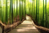 Fototapeta Dziecięca - Path to bamboo forest, Arashiyama, Kyoto, Japan