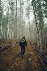 lonely man walking in the forest