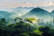Landscape Of Asia Tropical Rainforest, Canopy Tree Of Jungle Green Forest Park Outdoor, Nature Environment Mountain View, Concept Of Freedom Relaxation In Holiday For Spa Yoga And Retreat