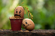 Sad egg face and paddy after the flooding.