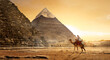 Nomad on camel near pyramids in egyptian desert travel background
