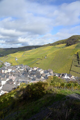 Sticker - Weinberge bei Bernkastel-Kues