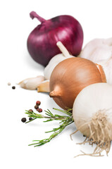 Canvas Print - vegetables fresh tomato with onion, garlic and spices on cutting board