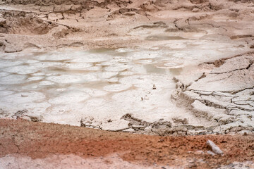 Canvas Print - Fountain Paint Pot  in Yellowstone National Park.