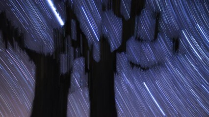 Wall Mural - Startrails Joshua Tree Tilt Up Red Rock Canyon Mojave Desert California USA California USA Astrophotography Time Lapse