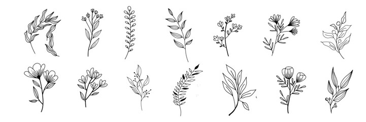Poster - hand drawn isolated flowers and herbs