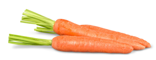 Sticker - Fresh orange carrots with green leaf