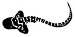 little zebra shark vector illustration isolated on white