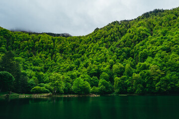 Wall Mural - View on the mountain lake of Bethmale and thre green reflection in the water in the French Pyrenees (Ariege)