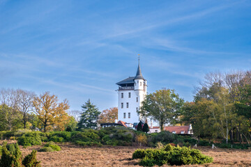 Canvas Print - Nature reserve Sallandse Heuvelrug