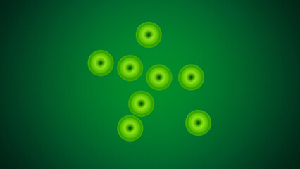 Wall Mural - Cell division stages of mitosis