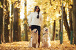© standret - In black sunglasses. Woman on the walk with her two dogs in the autumn forest
