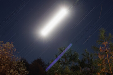 Wall Mural - Moonrise star-trails in the forest