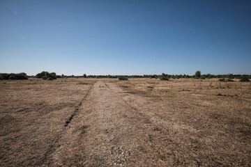 Greenham Common Drought 8