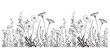 Wild flowers in the field border sketch hand drawn Vector illustration.