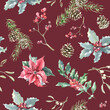 Watercolor Christmas red seamless pattern. Winter flowers, poinsettia, holly berry, pine cone, fir,spruce, evergreen branch,twig, berry illustration.New year, xmas print, fabric,textile,scrapbooking