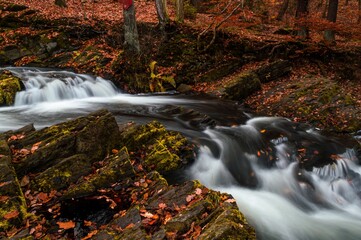 Canvas Print - Cascade flowing through rocks in colorful autumn forest with fallen leaves, long exposure