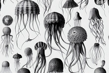 Black And White Seamless Pattern With Jellyfish On White Background Illustration