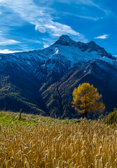 Wall Mural - I tesori della Valle Varaita: il piccolo borgo di Bellino a cavallo tra il Monviso ed il Pelvo d’Elva