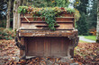 Piano outdoor with plants and flowers in fall