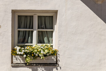 Wall Mural - windows in the facades