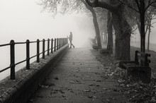 Young Woman Walking Down The Footpath In The Mist On A Cold Autumn Day In Black And White