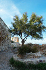 Wall Mural - Torre di ligny in Trapani, Sicily.