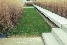 Modern Design Urban Garden Landscaping. Majestic Ornamental Feather Reed Grass Near Between Green Grass And Pedestrian Pathway. Perennial Plants In The City