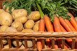 © Damian Pawlos - Freshly harvested potatoes and carrots in a wicker basket. Homegrown fresh vegetables. Healthy food concept
