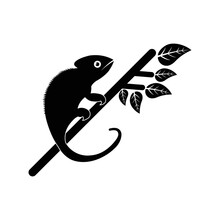 Wild Animal Chameleon Lizard Icon | Black Vector Illustration |
