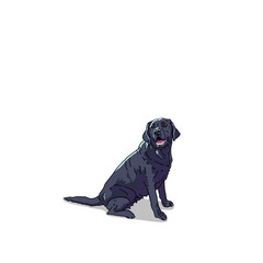 Wall Mural - Hand drawn colorful illustration isolated purebred black labrador retriever dog sitting smiling happily pet portrait design element transparent background